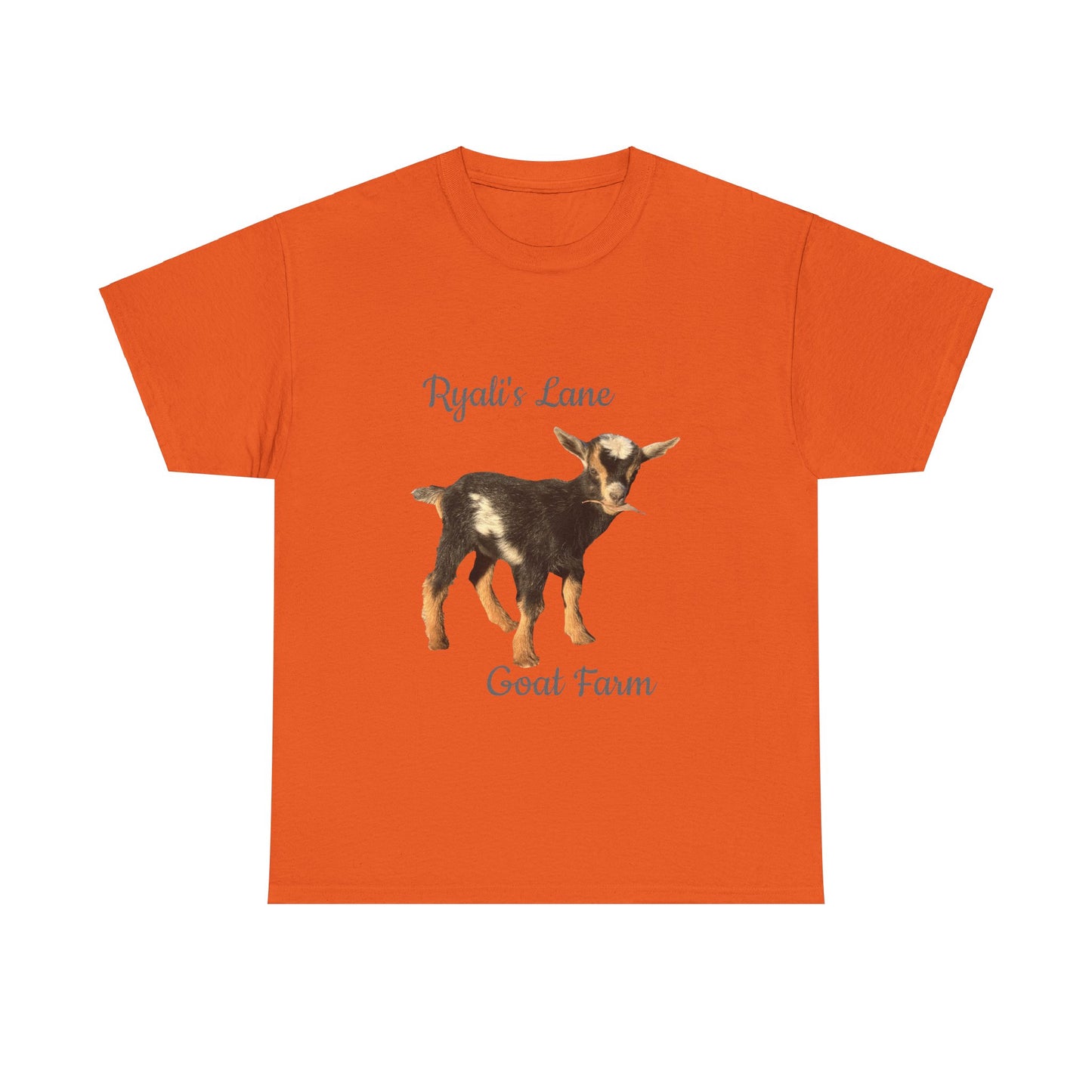 Unisex Heavy Cotton Tee - Ryali's Lane Goat Farm #2