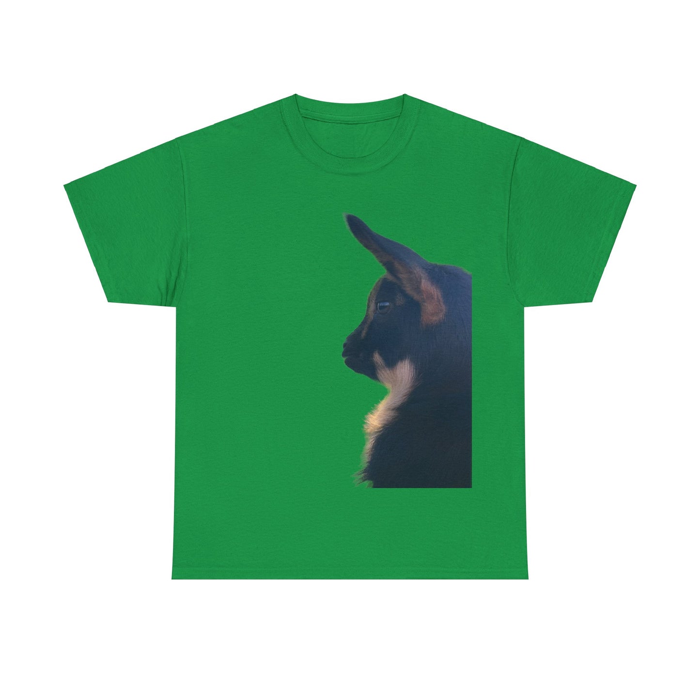 Unisex Heavy Cotton Tee - Cooper
