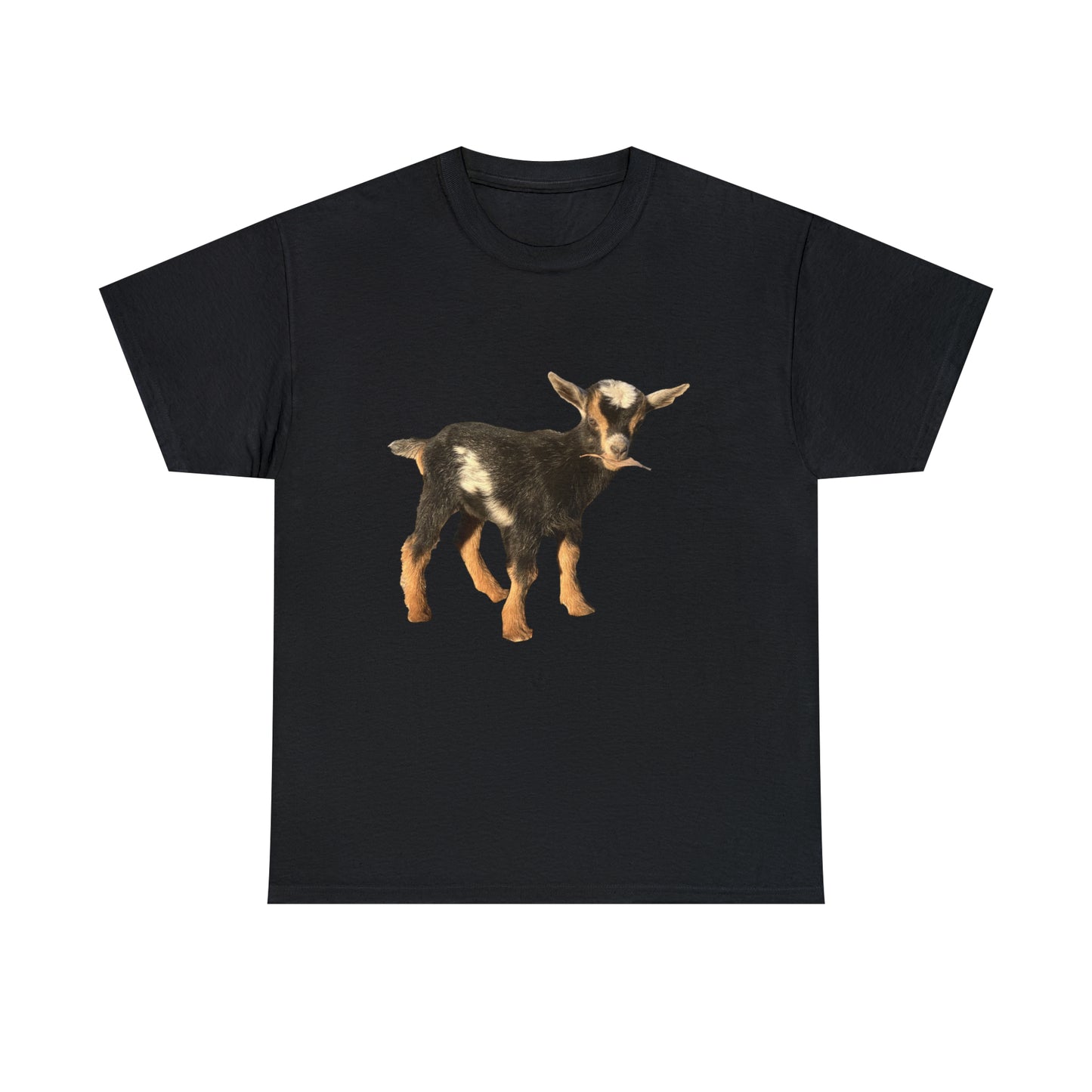 Unisex Heavy Cotton Tee - Ryali's Lane Goat Farm #1
